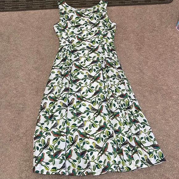 NWOT Emily and Fin Jasmine Parakeets Print Dress - Picture 2 of 9